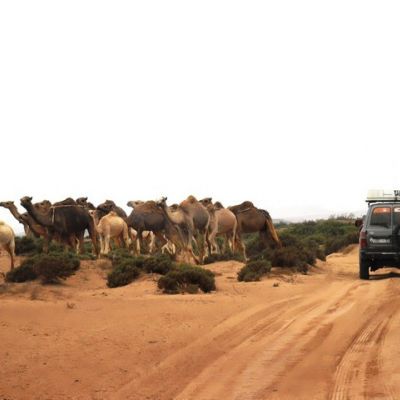 TEAM BUILDING 4X4 AU MAROC