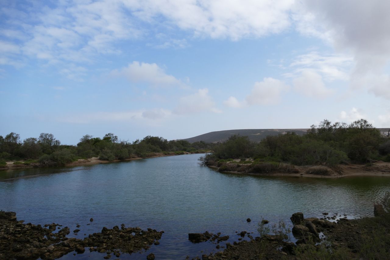 P1000818